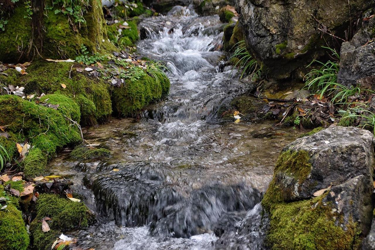 Napaimbe Sierra Daire Benamahoma Dış mekan fotoğraf